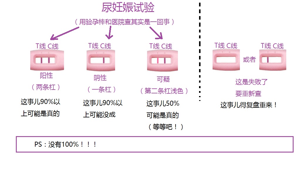 验孕棒和早孕试纸怎么看,验孕棒怎么不显示结果