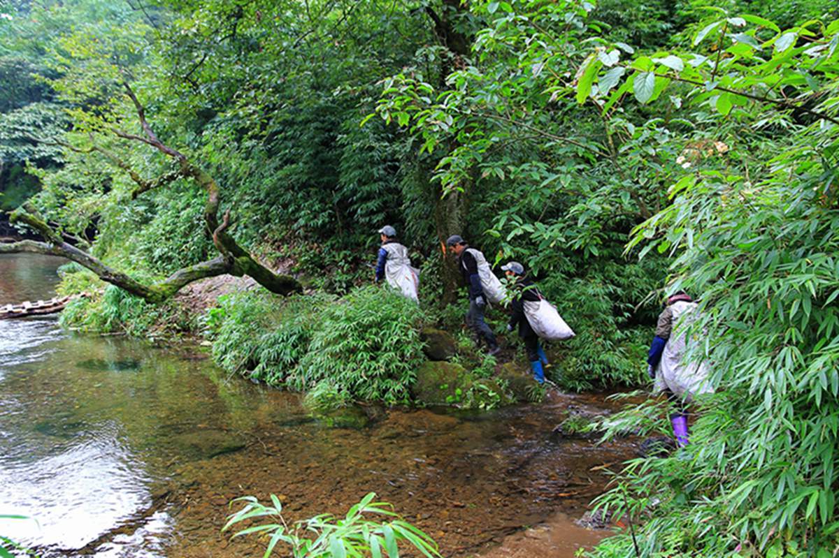 西部刀手，行走于中国道教神山四川洪雅瓦屋山，暗藏杀伐之气！