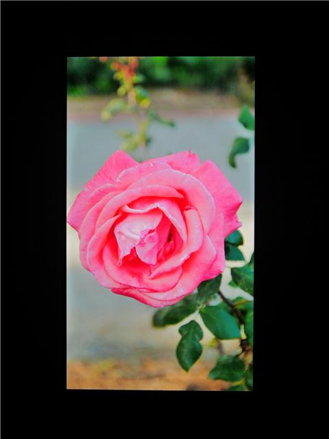 360极客版下载,360极客版所有版本