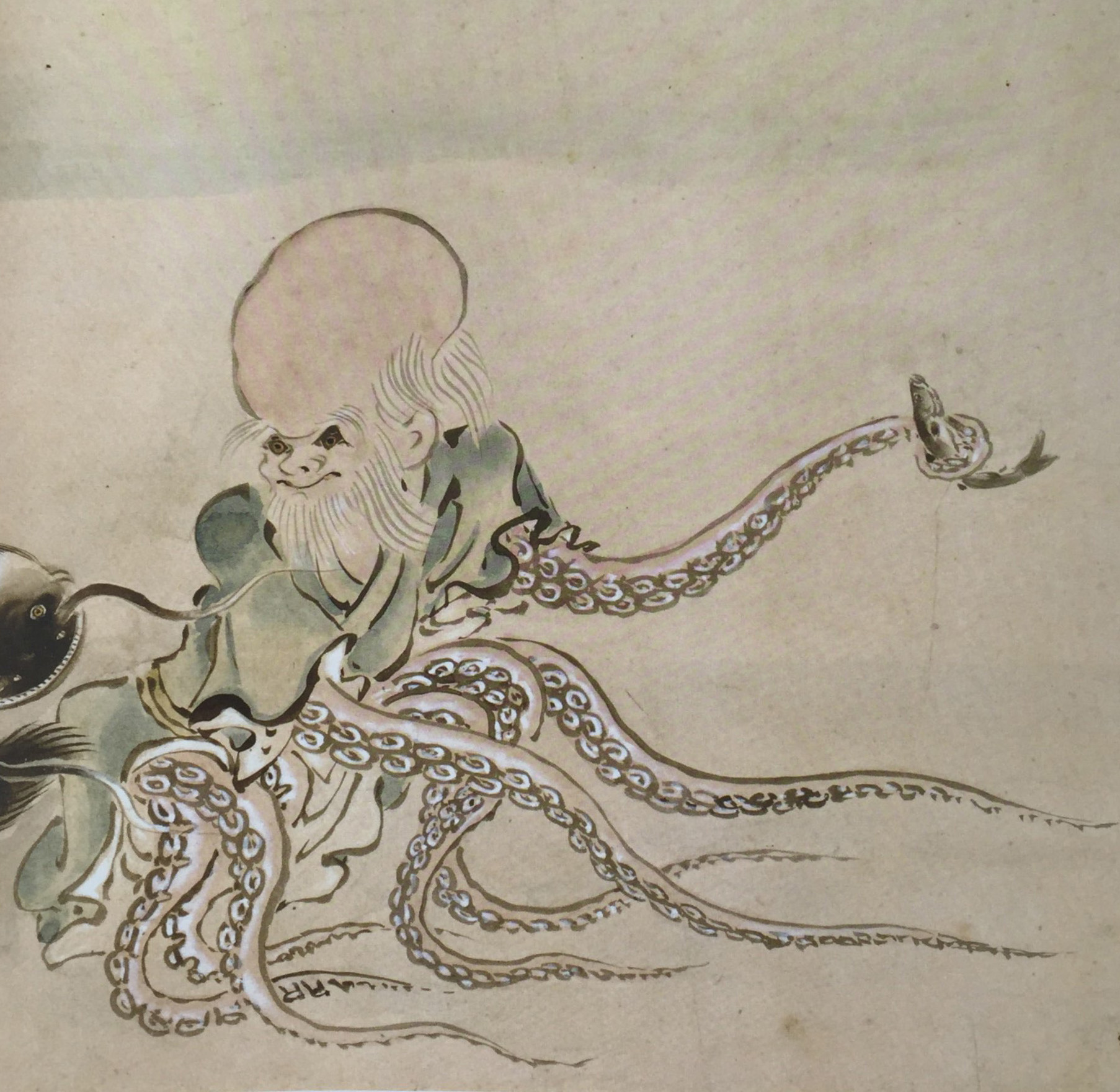 大章鱼产生基因,大章鱼生小章鱼卵