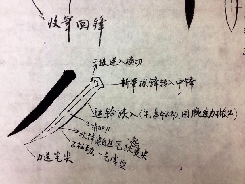 初学书法先练习啥,书法初学者应该先练笔画吗