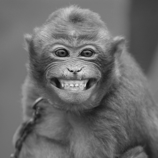 除夕到了奉上支付宝、QQ、微博、微信抢红包时间表