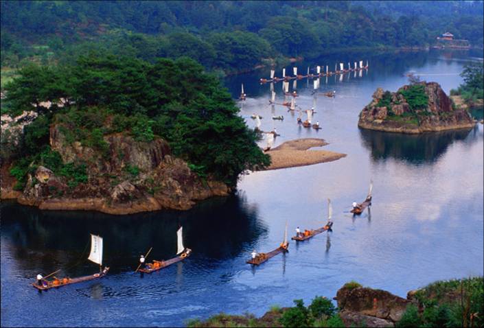 休闲起来，鱼也能赚大钱！