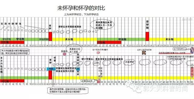 2016年生孩子手续,生猴宝宝的视频