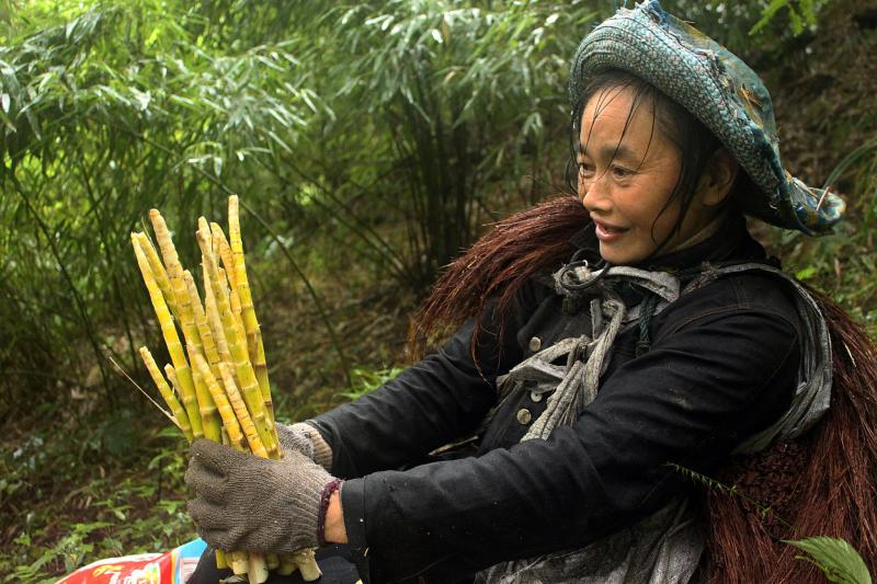 西部刀手，行走于中国道教神山四川洪雅瓦屋山，暗藏杀伐之气！