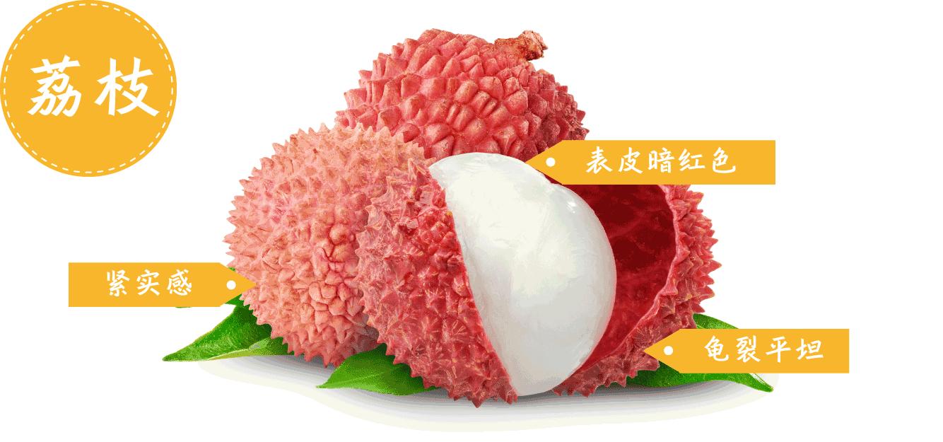 饮食安全不可忽视,关于食品安全的小贴士