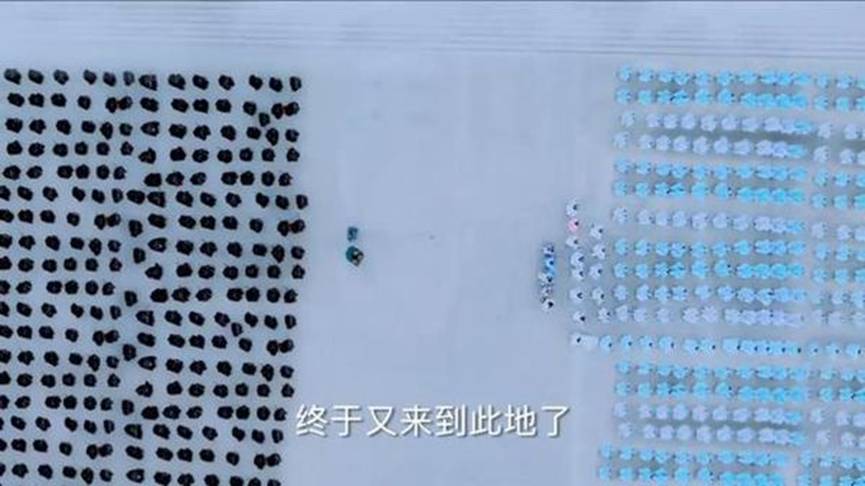 青云志大结局全过程,青云志大结局了