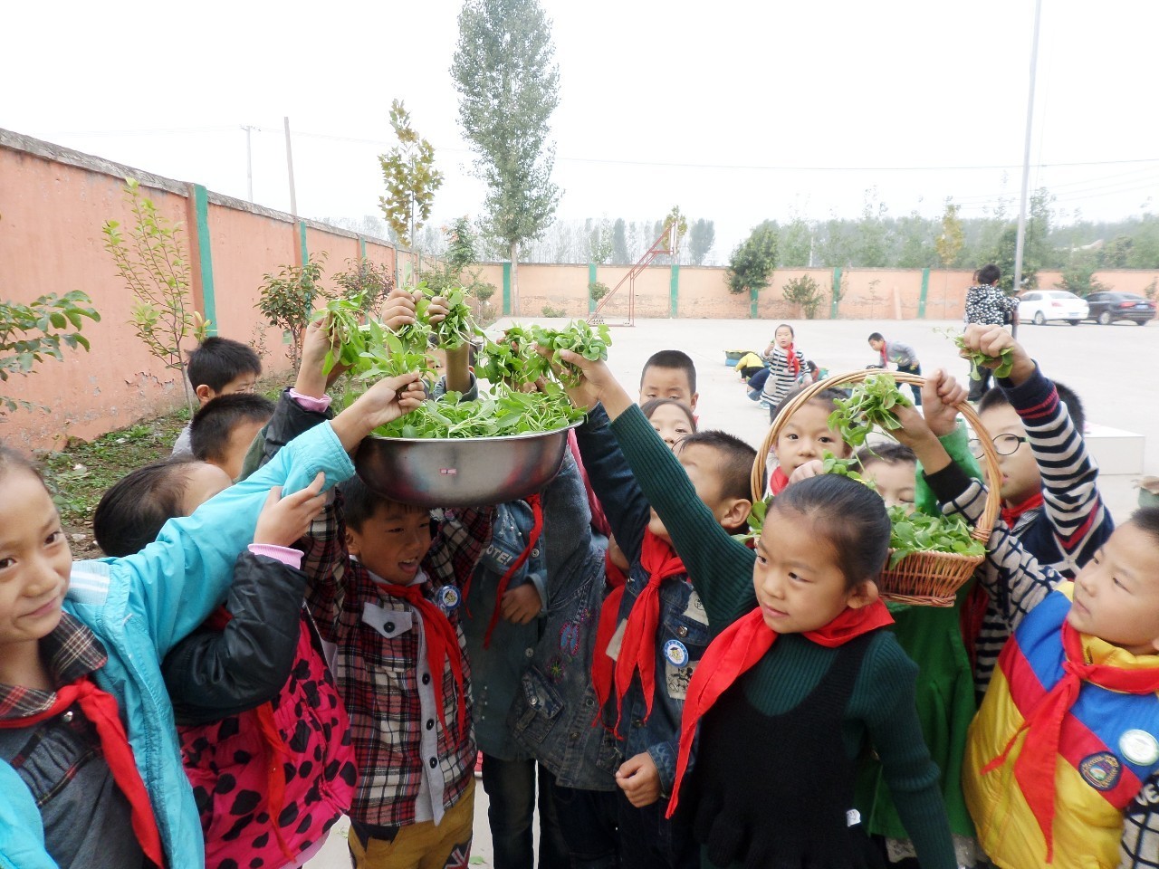 校园寻梦之旅,学校芳华十载逐梦未来