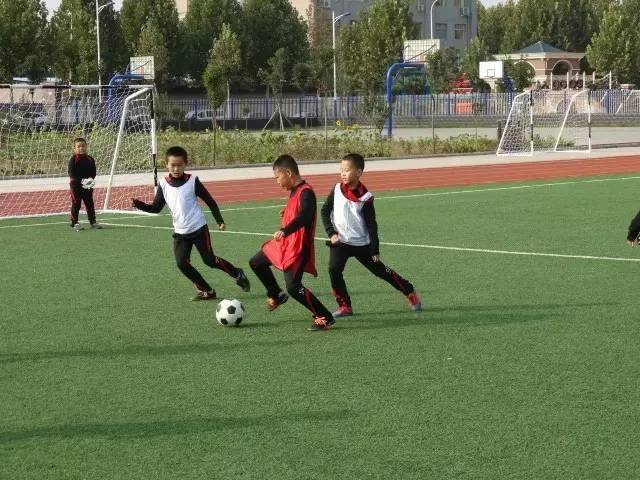 校园寻梦之旅,学校芳华十载逐梦未来