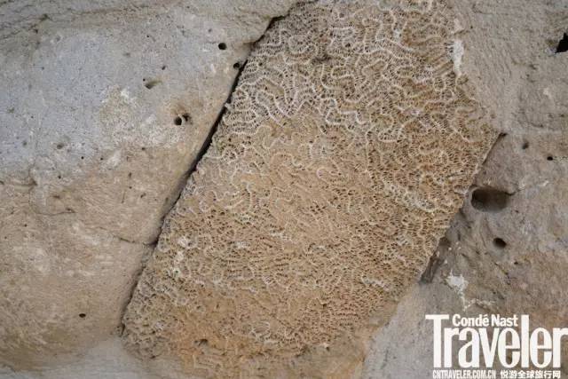 三亚什么酒店可以畅游亚特兰蒂斯,三亚亚特兰蒂斯酒店套房优惠预订