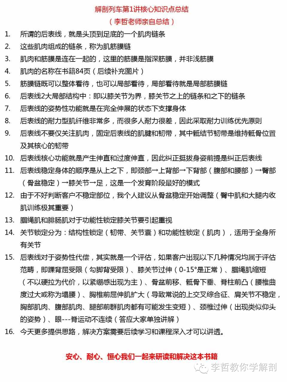 解剖列车学习笔记第二讲,解剖学基础笔记免费