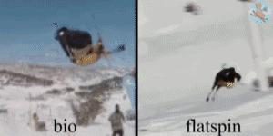 羊驼带你看懂双板Slopestyle（下）