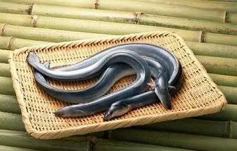 饭盒食品级日本,昭和三年饭盒