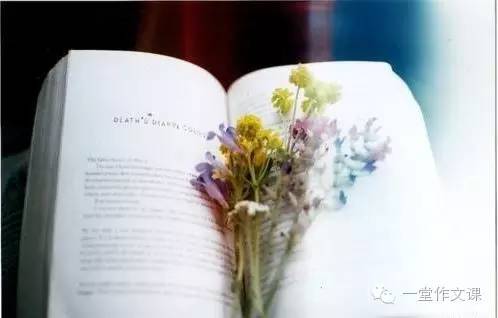 名家谈作文写作,名师手把手教你写高分作文