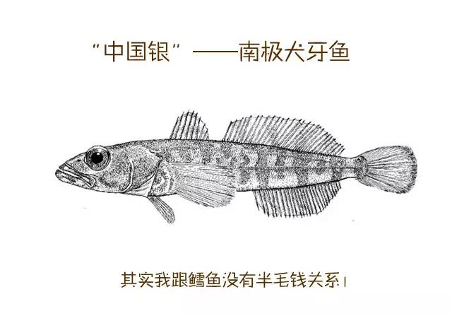 槌曢奔鎬庝箞涔版渶濂藉悆 (鎬庢牱涔伴硶楸兼渶濂藉悆)