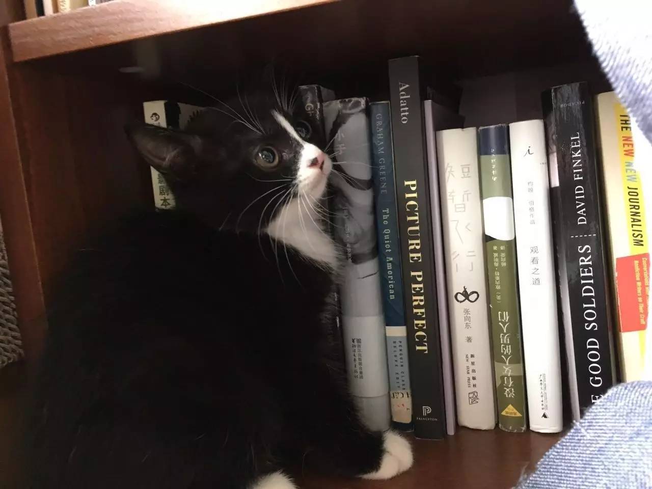 礼拜五神经*能官**症|单读