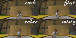 羊驼带你看懂双板Slopestyle（下）