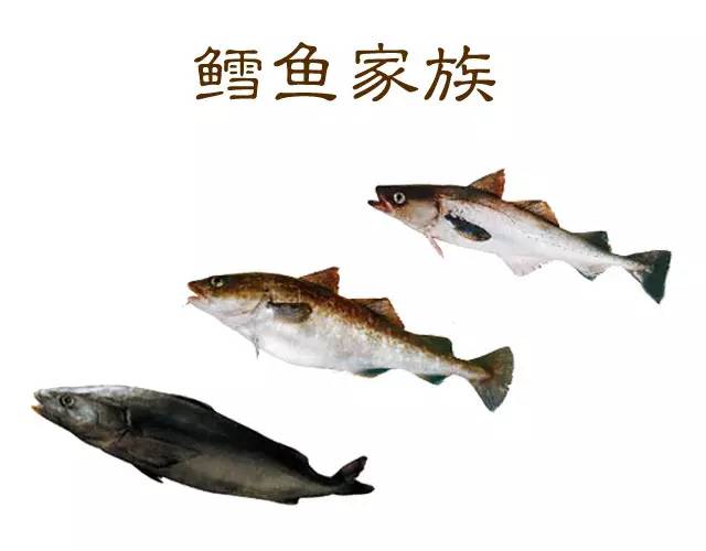 槌曢奔鎬庝箞涔版渶濂藉悆 (鎬庢牱涔伴硶楸兼渶濂藉悆)