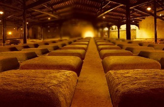 永定金丰酿酒有限公司上市消息,金丰酿酒酱香型