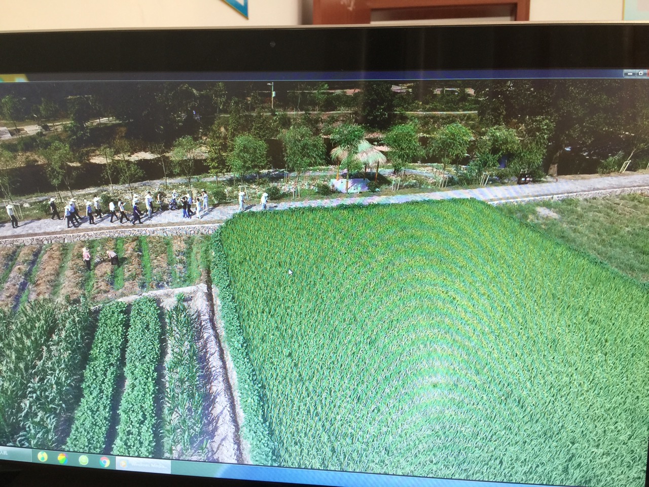 旅游景点双十一,双十一不想剁手想去玩