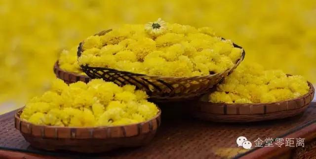 去金堂玉皇山养生谷耍一耍,金堂玉皇山一日游最佳路线