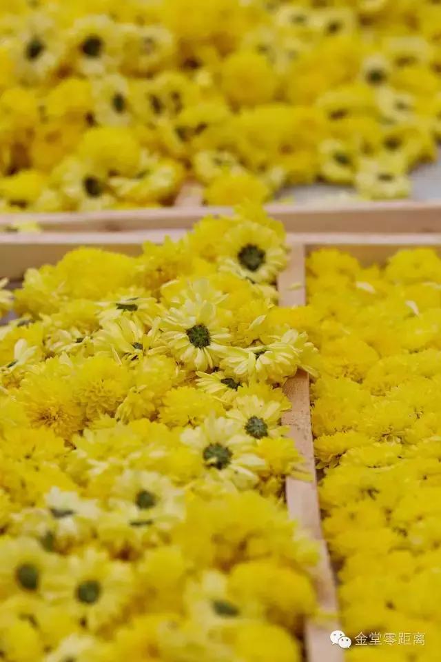 去金堂玉皇山养生谷耍一耍,金堂玉皇山一日游最佳路线