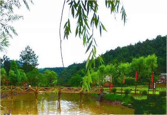 旅游景点双十一,双十一不想剁手想去玩