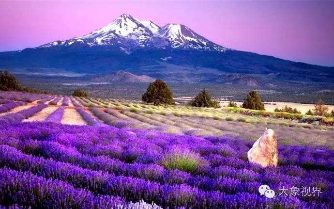 美艳洋模带您私家欧洲之旅！