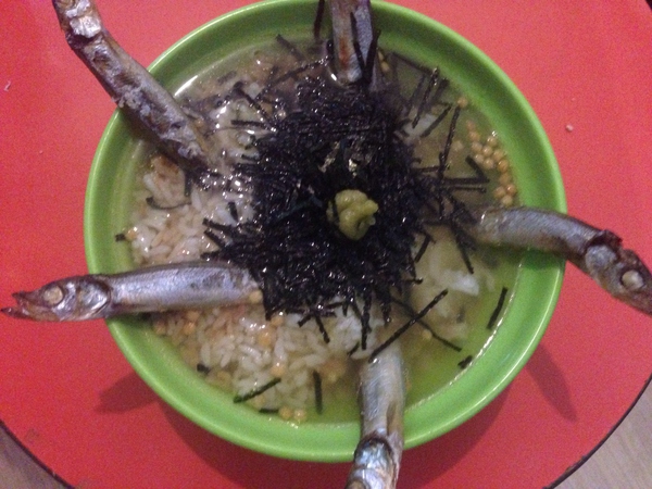 有一个会做饭室友是一种什么体验,自己租房子找个室友需要关注什么