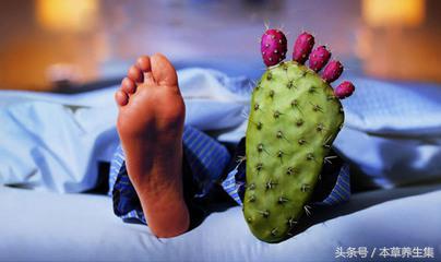 3味中药茶饮，轻松解决尿酸高问题，可预防痛风发作！