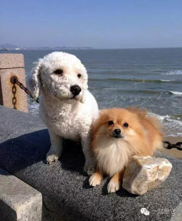 宠爱故事全集,宠爱讲故事