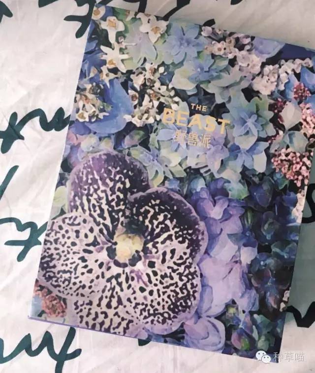 看到这些美物还说不想结婚的，你牛逼！