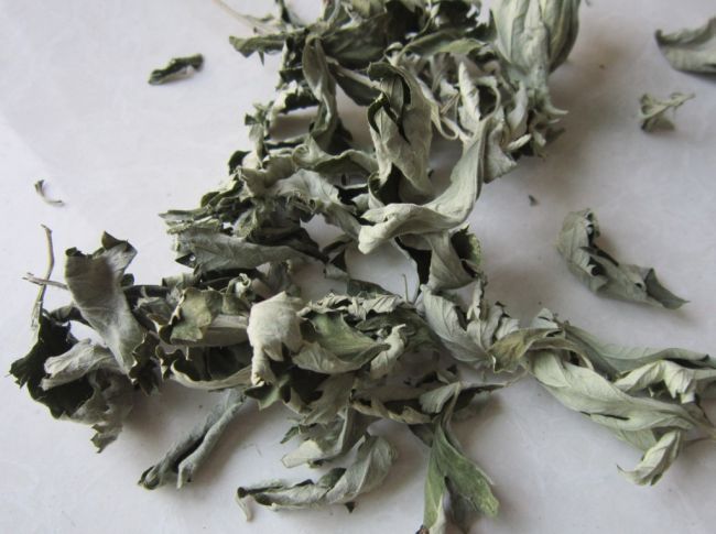 湿疹妈妈,宝宝湿疹妈妈需要干预吗