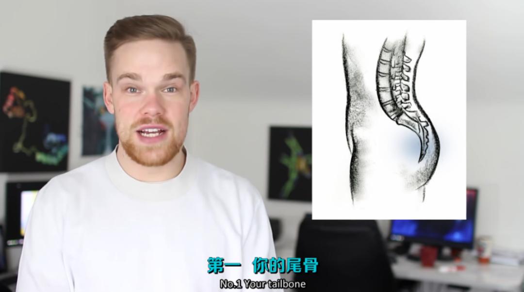 你身上哪些器官属于五官,你身上有哪些部位不能碰