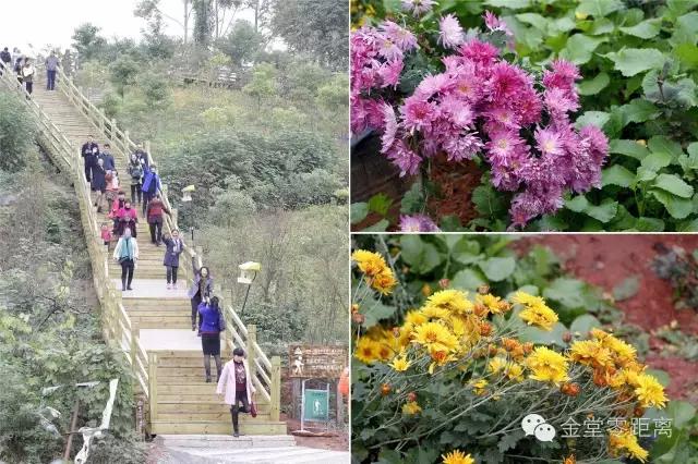 去金堂玉皇山养生谷耍一耍,金堂玉皇山一日游最佳路线