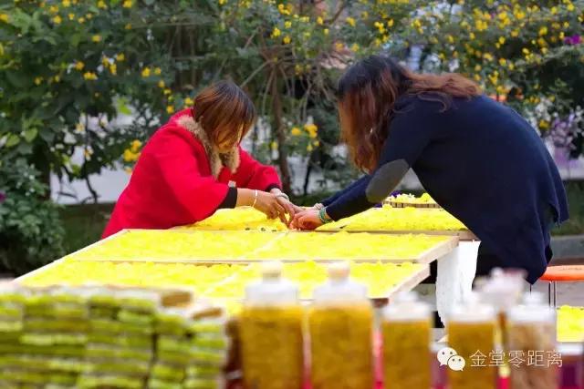 去金堂玉皇山养生谷耍一耍,金堂玉皇山一日游最佳路线