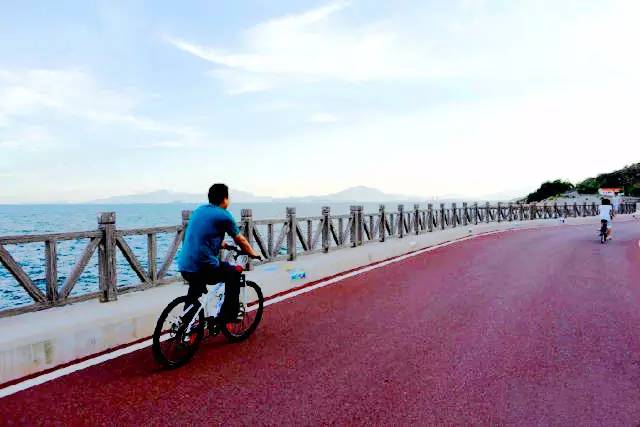 大亚湾滨海绿道最新视频,沿海绿道惠州