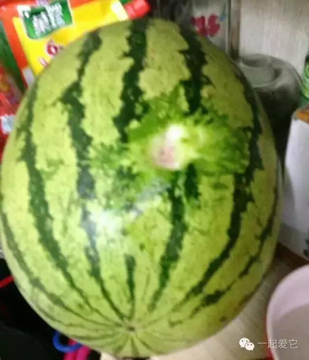 宠爱故事全集,宠爱讲故事