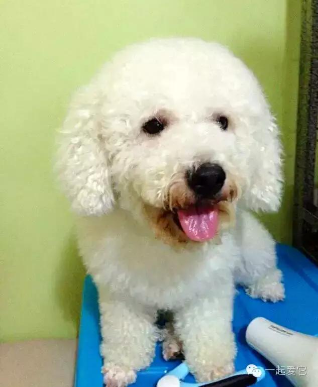 宠爱故事全集,宠爱讲故事