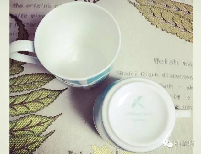 看到这些美物还说不想结婚的，你牛逼！