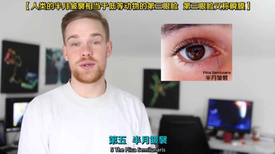 你身上哪些器官属于五官,你身上有哪些部位不能碰