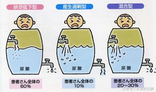 3味中药茶饮，轻松解决尿酸高问题，可预防痛风发作！