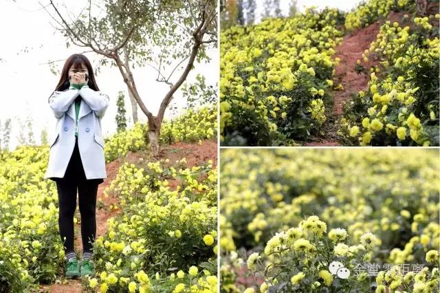 去金堂玉皇山养生谷耍一耍,金堂玉皇山一日游最佳路线