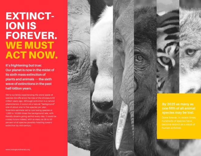 装修三折页设计,设计三折页的教程