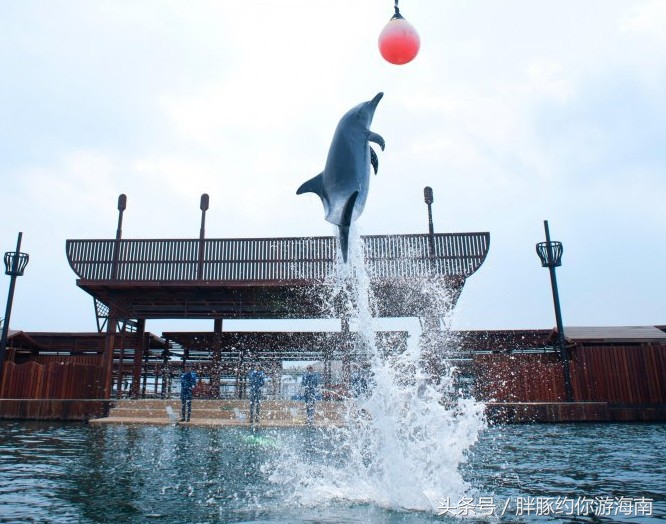 海南旅游攻略三亚景点,海南三亚旅游攻略自由行路线图