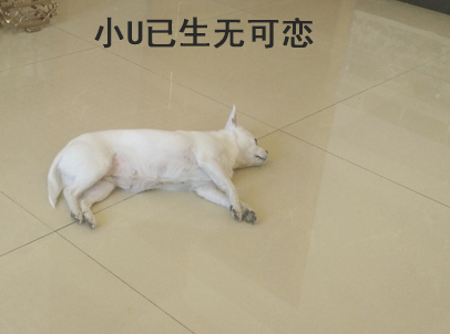 有一个会做饭室友是一种什么体验,自己租房子找个室友需要关注什么