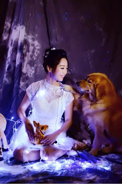 小短腿的金毛是什么犬,小短腿金毛狗狗