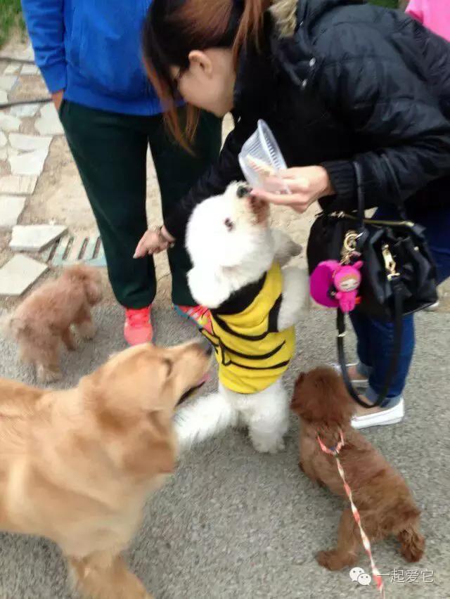 宠爱故事全集,宠爱讲故事