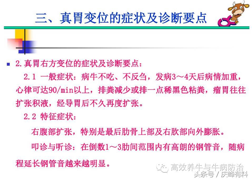 奶牛真胃扩张的症状治疗方法,奶牛皱胃左方变位治疗方法