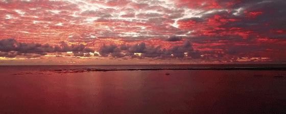 毛里求斯如何玩性价比高,毛里求斯什么东西比较便宜